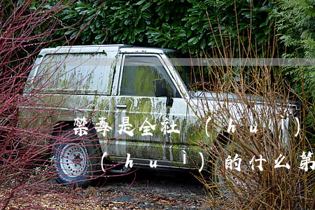 禁毒是全社會(huì)的什么 (禁毒是全社會(huì)的什么第二課堂答案)
