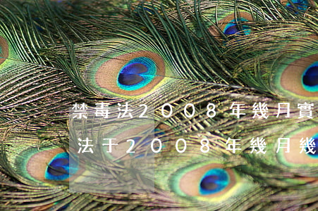 禁毒法2008年幾月實施(人民共和國禁毒法于2008年幾月幾日實施)