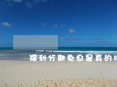 福利分期免息是真的吗(福利购是真的吗)