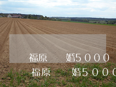 福原愛離婚5000萬撫養(yǎng)費(福原愛離婚5000萬撫養(yǎng)費)