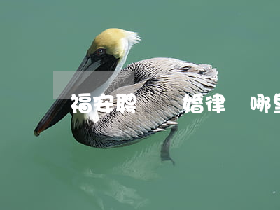 福安聘請離婚律師哪里找(福州離婚律師)