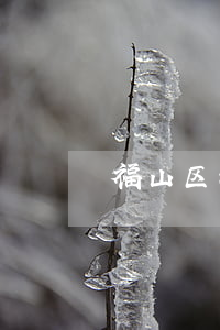 福山区清阳丽姐花饽饽离婚了吗 福山区清阳丽姐花饽饽离婚了吗