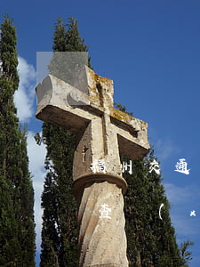 福州交通違章網(wǎng)(福州交警違章查詢(xún))