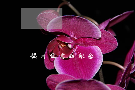 福州住房公积金