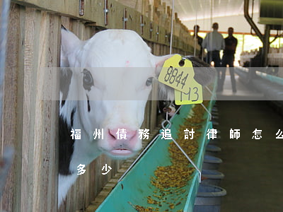 福州債務追討律師怎么收費(討債請律師費用多少)