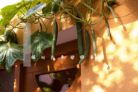 福州免费律师事务所(福州免费律师事务所)