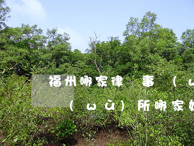 福州哪家律師事務(wù)所好(福山律師事務(wù)所哪家好)