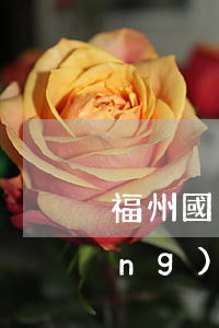 福州國稅網(wǎng)(福州國稅網(wǎng)上辦稅大廳)