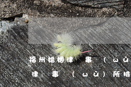 福州婚姻律師事務(wù)所排名(福州離婚律師事務(wù)所排行)