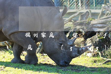 福州家庭糾紛律師費(fèi)用怎么付(家庭糾紛請(qǐng)律師費(fèi)用多少錢)
