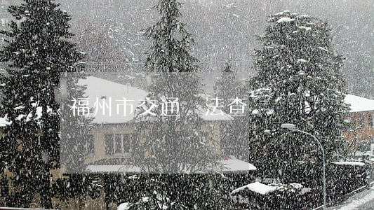 福州市交通違法查詢