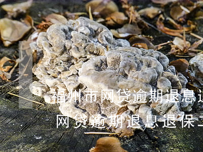 福州市网贷逾期退息退保二次分期-福州市网贷逾期退息退保二次分期还款