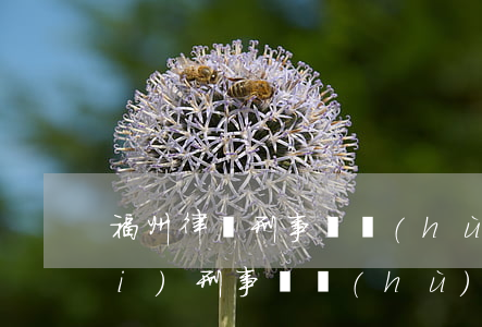 福州律師刑事辯護(hù)怎么收費(fèi)(刑事辯護(hù)律師費(fèi)30萬(wàn))