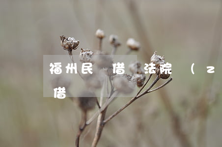 福州民間借錢法院執(zhí)行 福州民間借貸