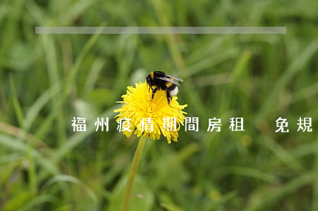 福州疫情期間房租減免規(guī)定