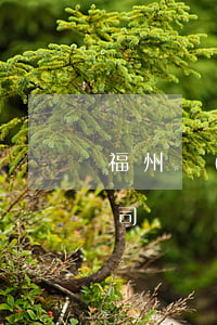 福州網(wǎng)貸逾期修復(fù)公司