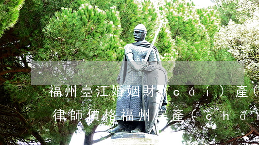 福州臺江婚姻財(cái)產(chǎn)律師價格(福州房產(chǎn)律師)