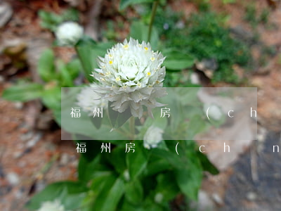 福州買賣房產(chǎn)糾紛如何找律師，福州房產(chǎn)糾紛律師哪個(gè)好