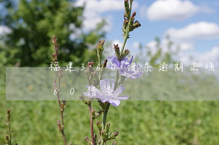 福建360借条逾期正确处理方案-福州360借条