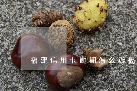 福建信用卡逾期怎么辦(福建銀行信用卡)