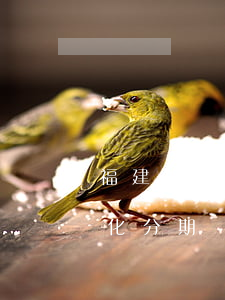 福建個(gè)性化分期 福建個(gè)性化分期