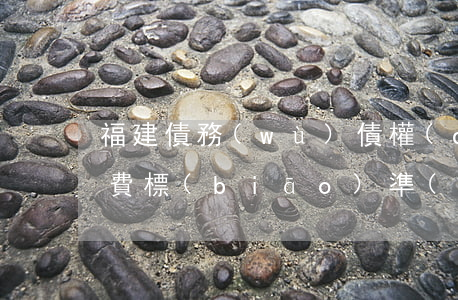 福建債務(wù)債權(quán)律師收費標(biāo)準(zhǔn)是多少-福建債務(wù)債權(quán)律師收費標(biāo)準(zhǔn)是多少錢