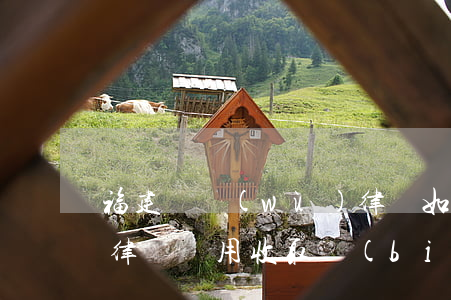 福建債務(wù)律師如何請 債務(wù)律師費用收取標(biāo)準(zhǔn)2021