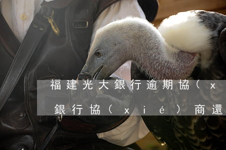 福建光大銀行逾期協(xié)商還款(光大銀行協(xié)商還款處理結(jié)果)
