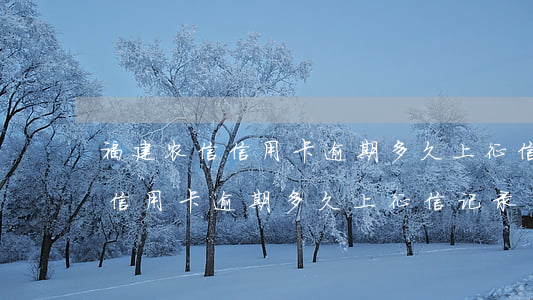 福建农信信用卡逾期多久上征信-福建农信信用卡逾期多久上征信记录