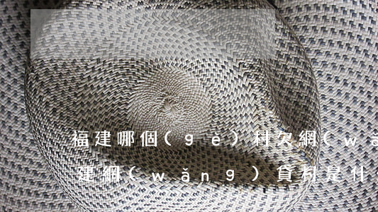 福建哪個(gè)村欠網(wǎng)貸(福建網(wǎng)貸村是什么名字)