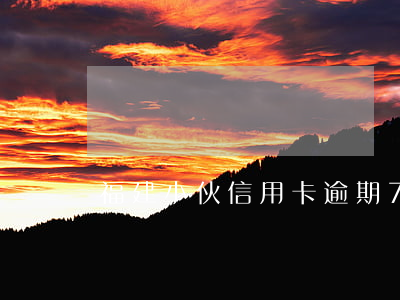 福建小伙信用卡逾期(788亿信用卡逾期)