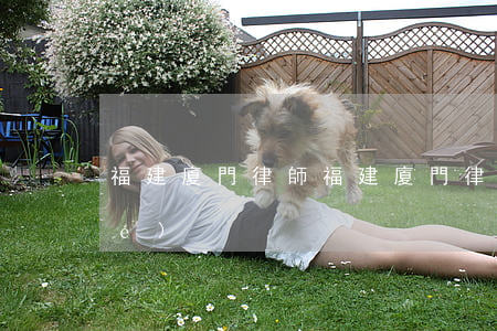 福建廈門律師(福建廈門律師希望小學(xué))