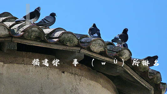 福建律師事務(wù)所排名
