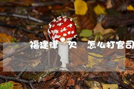 福建律師欠錢怎么打官司-福建本地律師