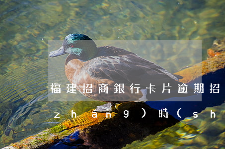 福建招商銀行卡片逾期(招商銀行逾期多長(zhǎng)時(shí)間就會(huì)讓你還全款)