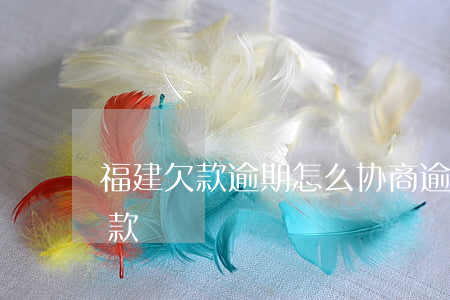 福建欠款逾期怎么协商(逾期贷款怎么协商还款)