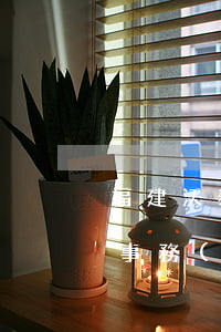 福建沃泰律師事務(wù)所(福建沃泰律師事務(wù)所信息)