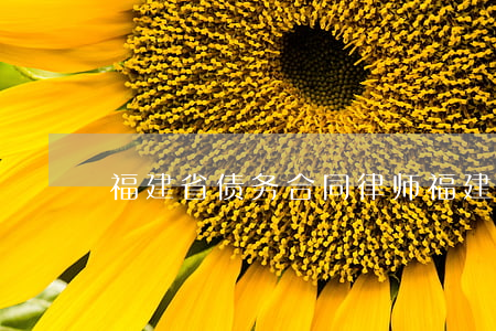 福建省债务合同律师 福建省债务合同律师