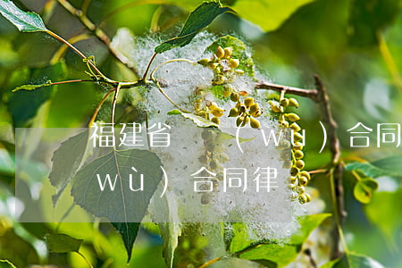 福建省債務(wù)合同律師 福建省債務(wù)合同律師