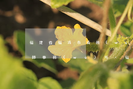 福建省福清市債務(wù)專業(yè)律師事務(wù)所-福建省福清市債務(wù)專業(yè)律師事務(wù)所地址