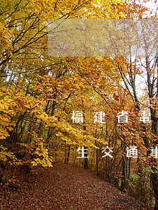 福建省電動(dòng)三輪車發(fā)生交通事故如何賠償案例，電動(dòng)三輪車車禍賠償
