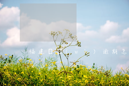福建稅務(wù)逾期怎么處理(福建 稅務(wù))