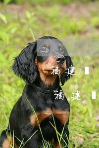福建農(nóng)村信用社貸款無力償還(福建農(nóng)村信用社貸款無力償還)