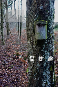 福建逾期交房違約金(逾期交房怎么賠)