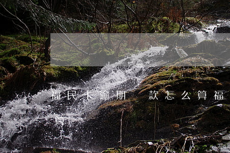 福民卡逾期還款怎么算(福民卡逾期還款怎么算)