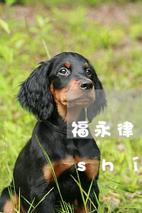 福永律師事務(wù)所在哪里(福建永時(shí)律師事務(wù)所)