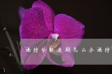 福特贷款逾期怎么办(福特金融贷款被拒绝了)