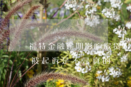 福特金融逾期影响房贷吗(福特金融车贷逾期被起诉是不是真的)