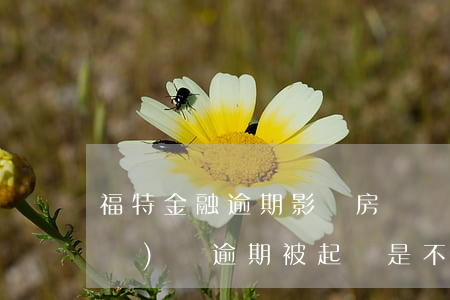 福特金融逾期影響房貸嗎(福特金融車(chē)貸逾期被起訴是不是真的)