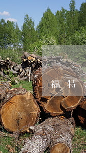 福特金融逾期被起訴